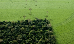 Comment la loi ALUR mange 30 hectares de forêt